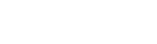 Logo von ZuPro2Flex
